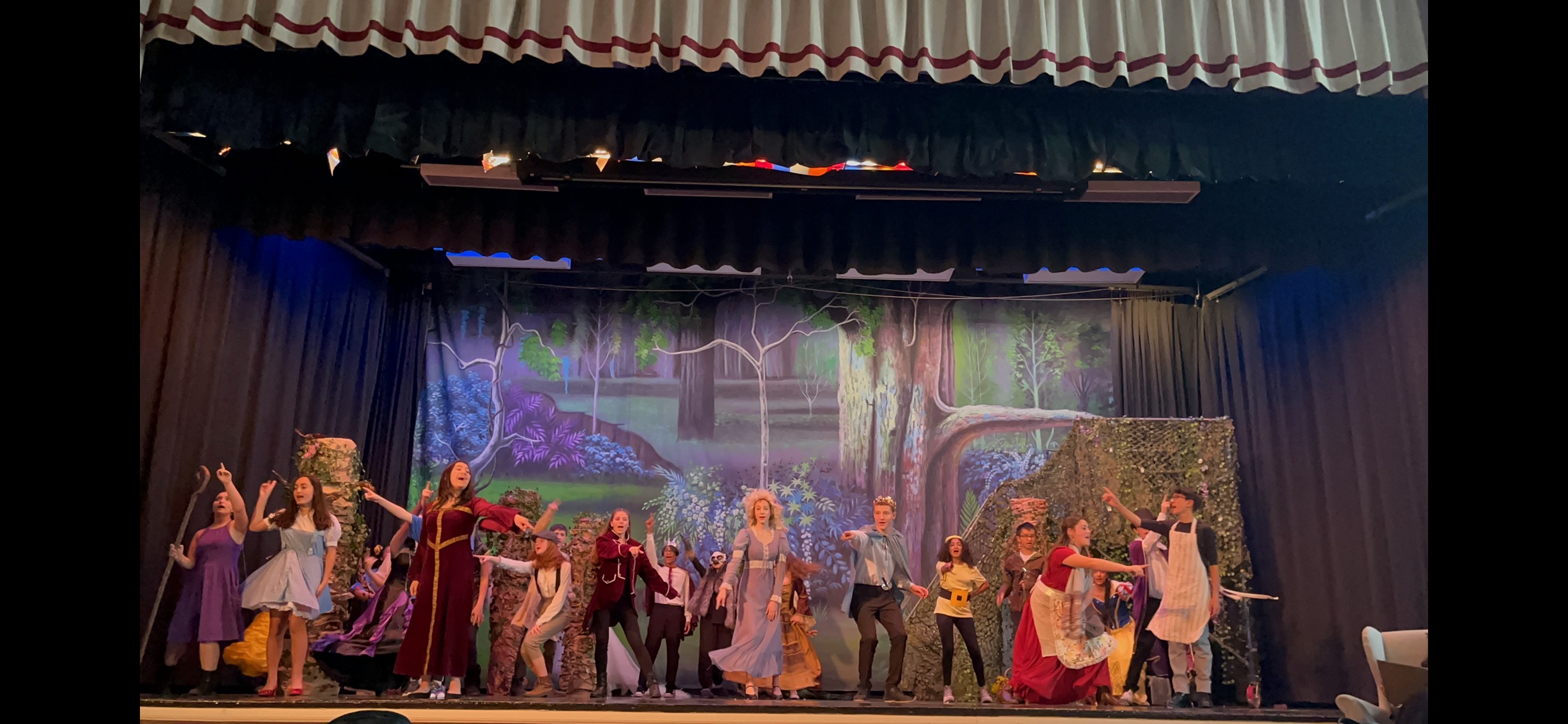 Into The Woods Jr. 