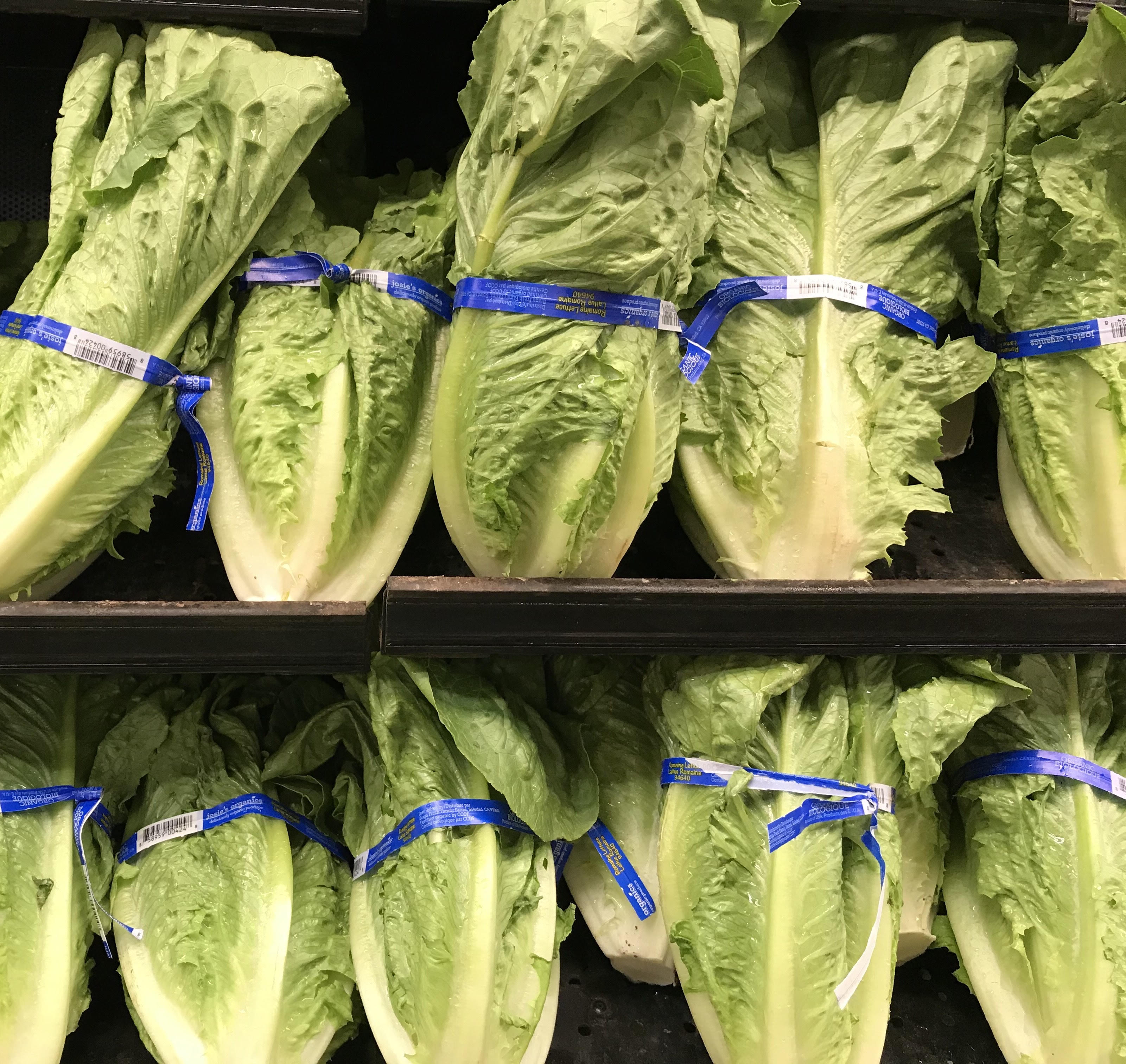 Skip the Salad Romaine Lettuce Recalled After Being Linked to E.coli