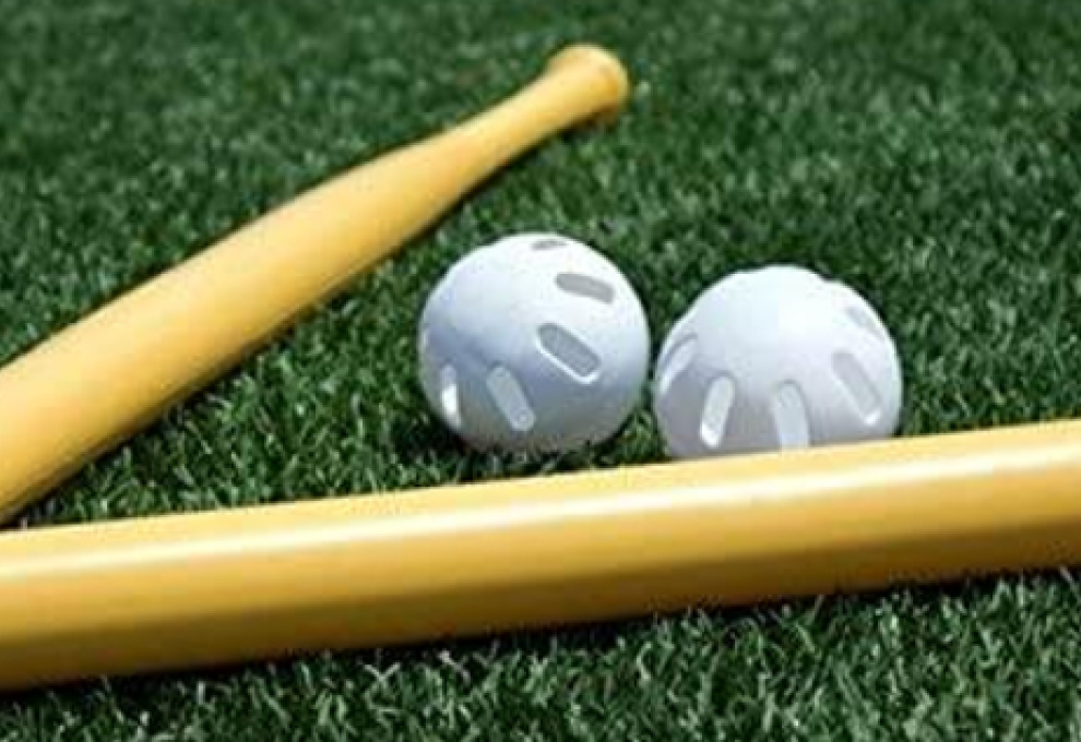 Wiffle Balls and Bat 