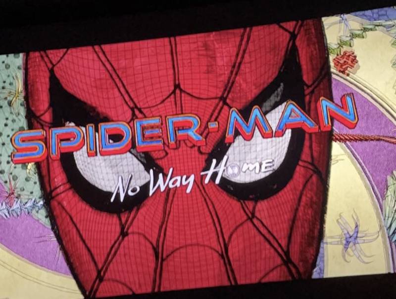 Spider-Man No Way Home Premiere 