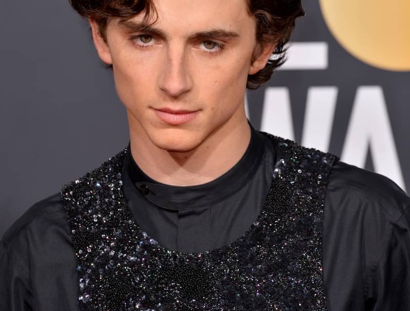 Timothee Chalamet at the 2019 Golden Globes