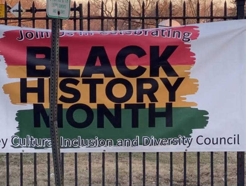 Banner on Franklin Ave promoting Black History Month